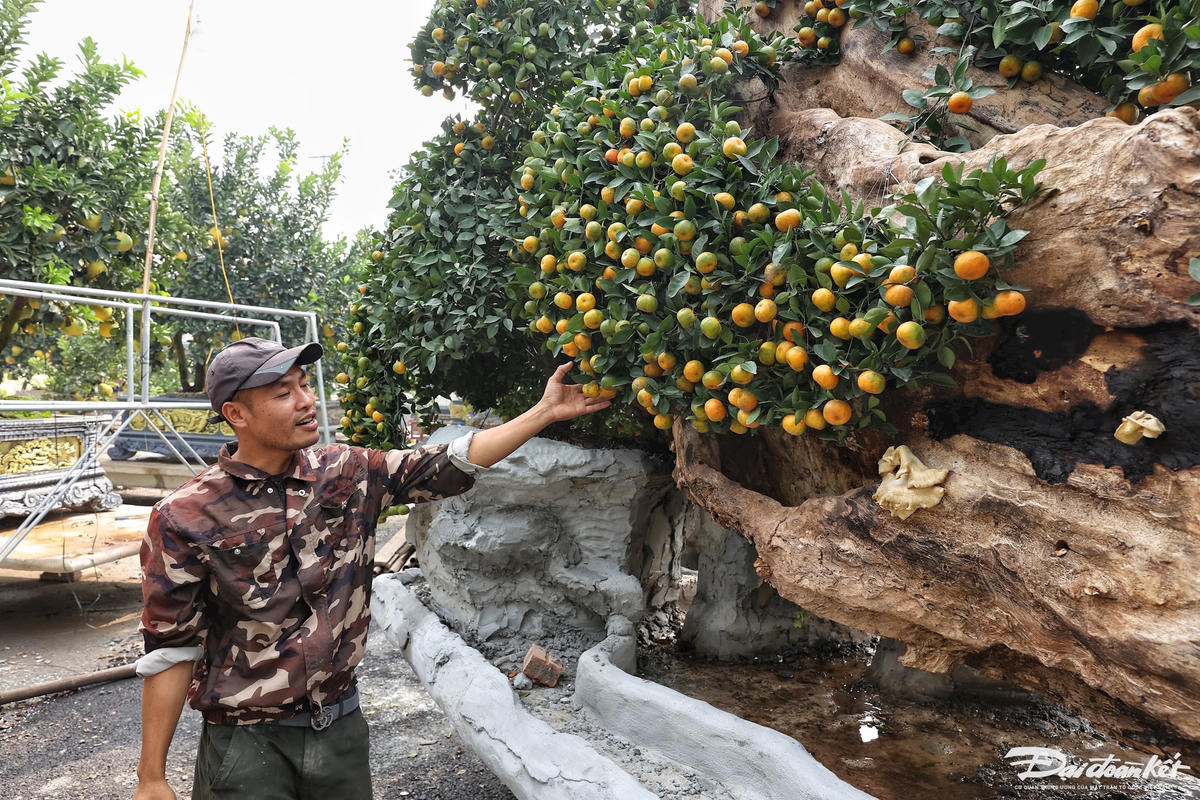 buoi_canh-le-khanh20.jpg