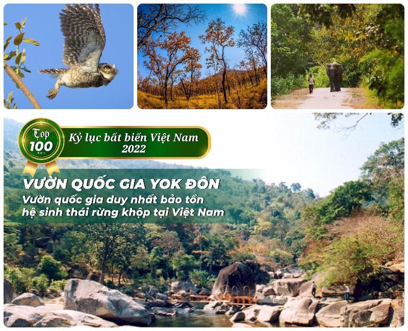 Vườn quốc gia Yok Đôn.