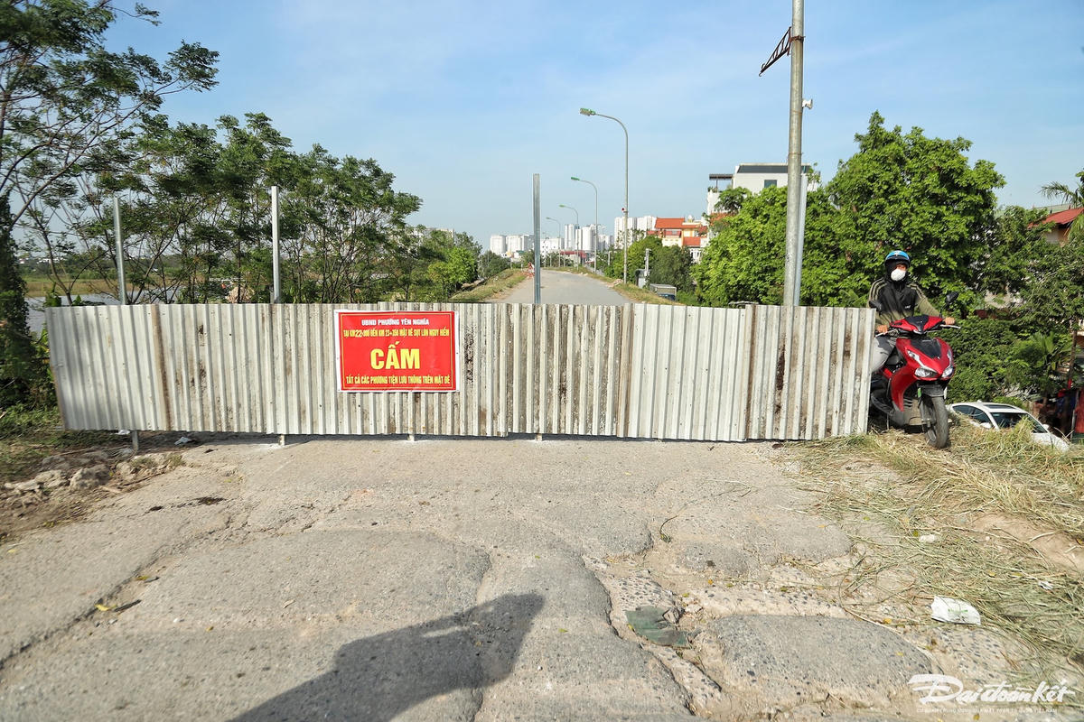 sut_lun_de_yen_nghia-le-khanh6.jpg