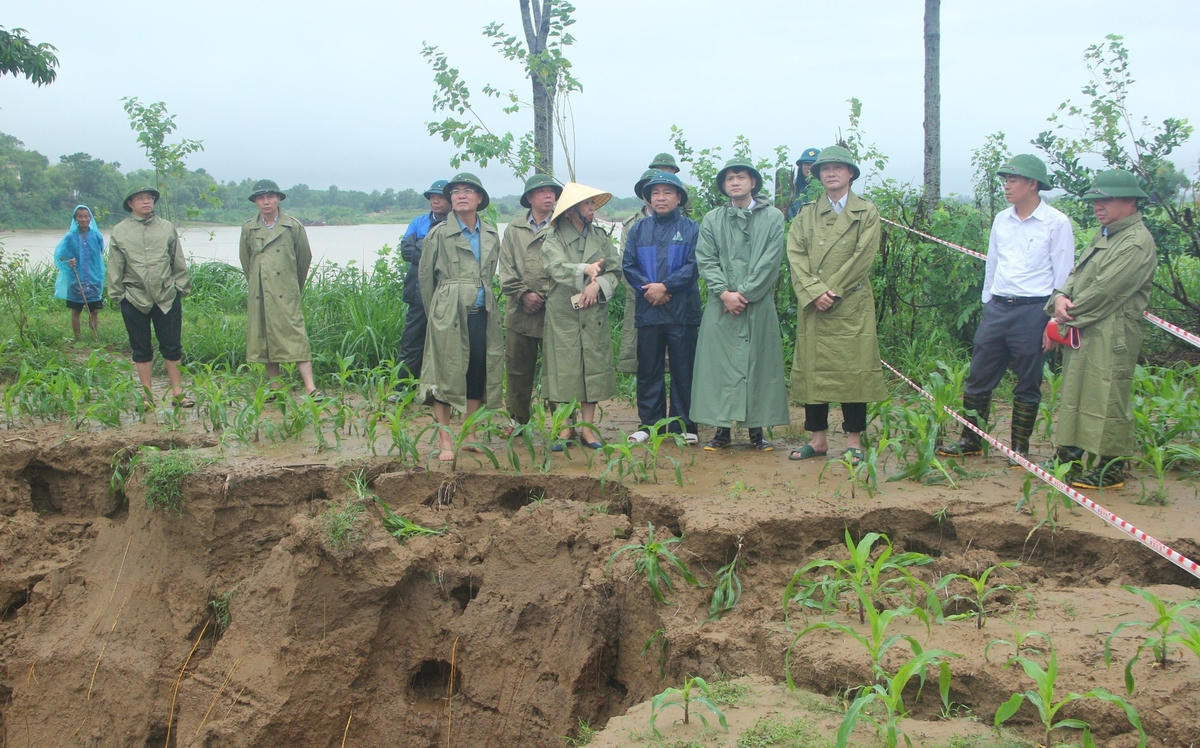Chủ tịch UBND tỉnh Thanh Hóa Đỗ Minh Tuấn và đoàn công tác kiểm tra tình trạng sạt lở bãi bồi xã Vĩnh Hòa (Vĩnh Lộc). Ảnh: Lê Đồng.  