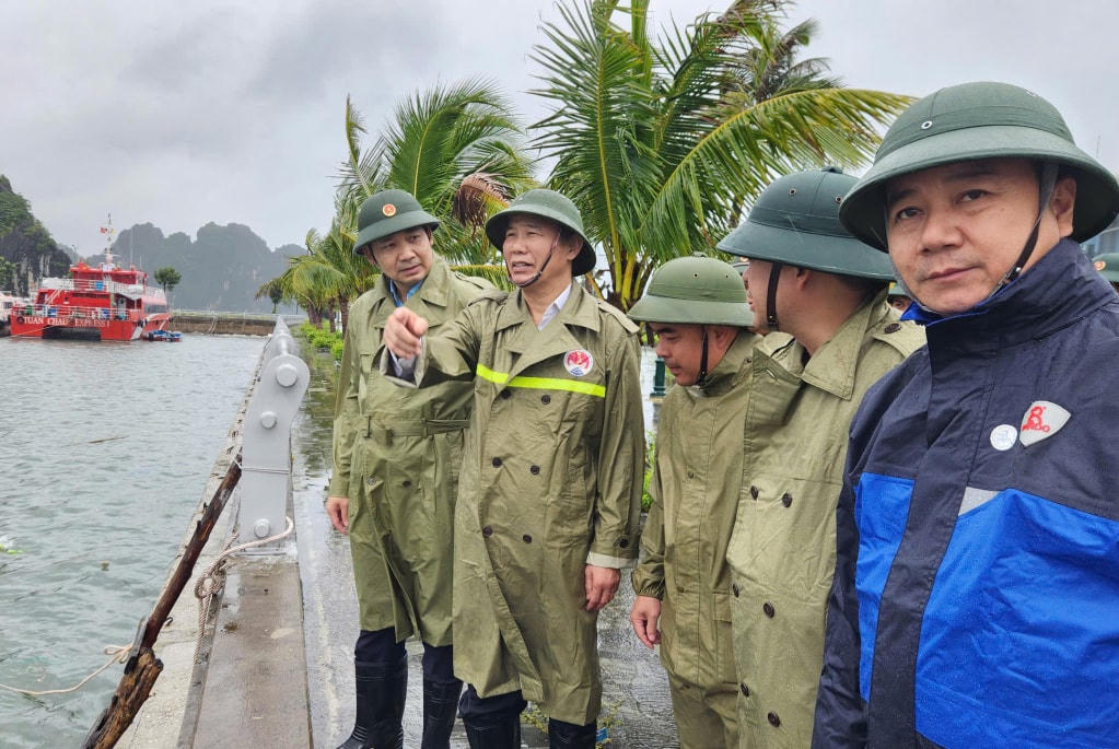 Đồng chí Phùng Đức Tiến, Thứ trưởng Bộ Nông nghiệp và Môi trường kiểm tra tại khu vực cảng Cái Rồng.