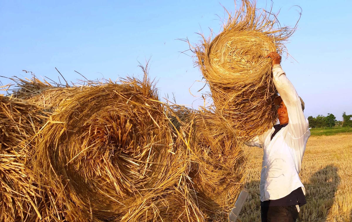 Người dân lao động vất vả trong nắng nóng. Ảnh: Tấn Thành.