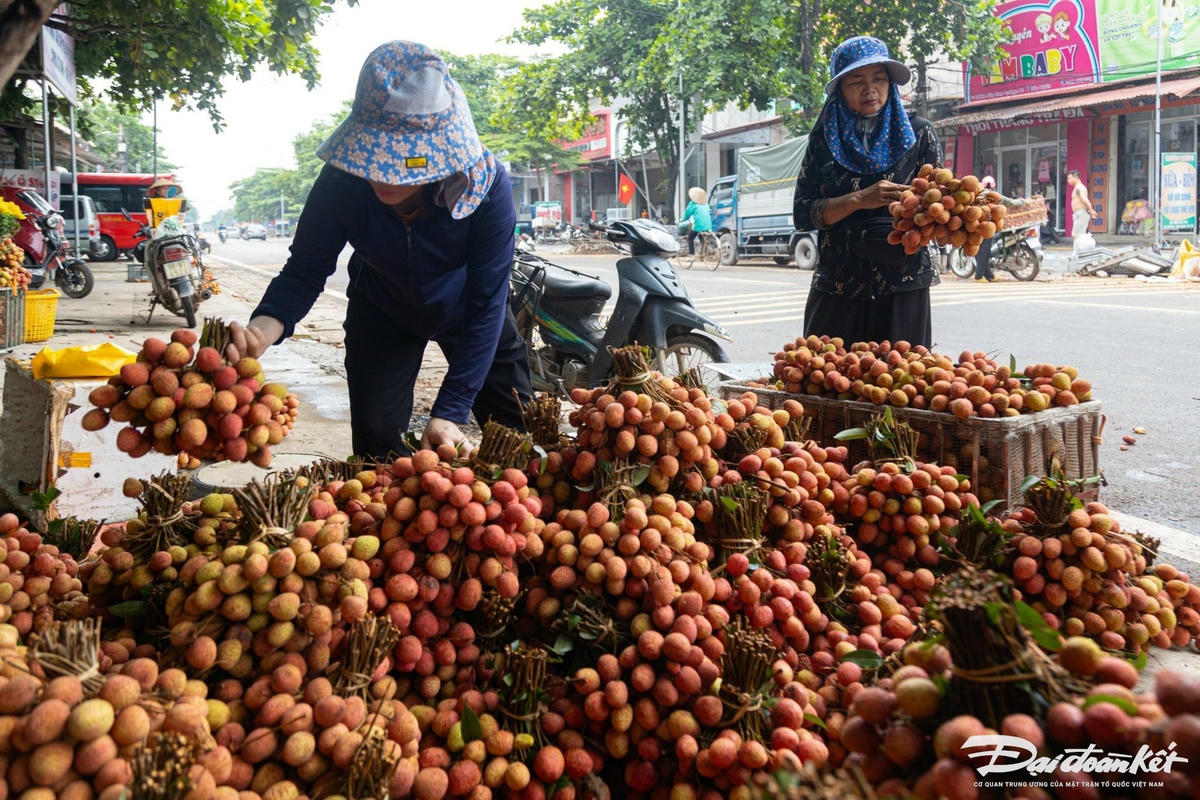 ban_vai-le-khanh7.jpg