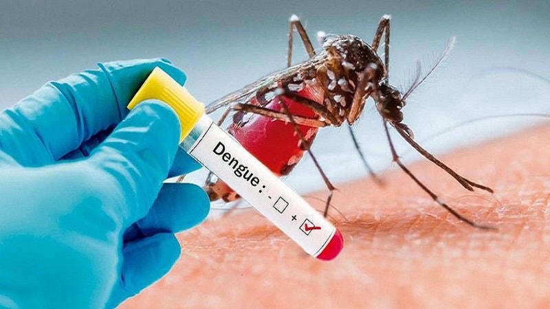 Xét nghiệm Dengue chẩn đoán bệnh sốt xuất huyết. Nguồn: WHO.