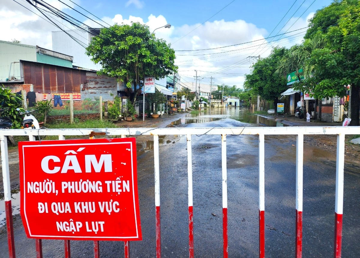 Đường ĐT 609B, đoạn thị trấn Ái Nghĩa, huyện Đại Lộc vẫn còn ngập.