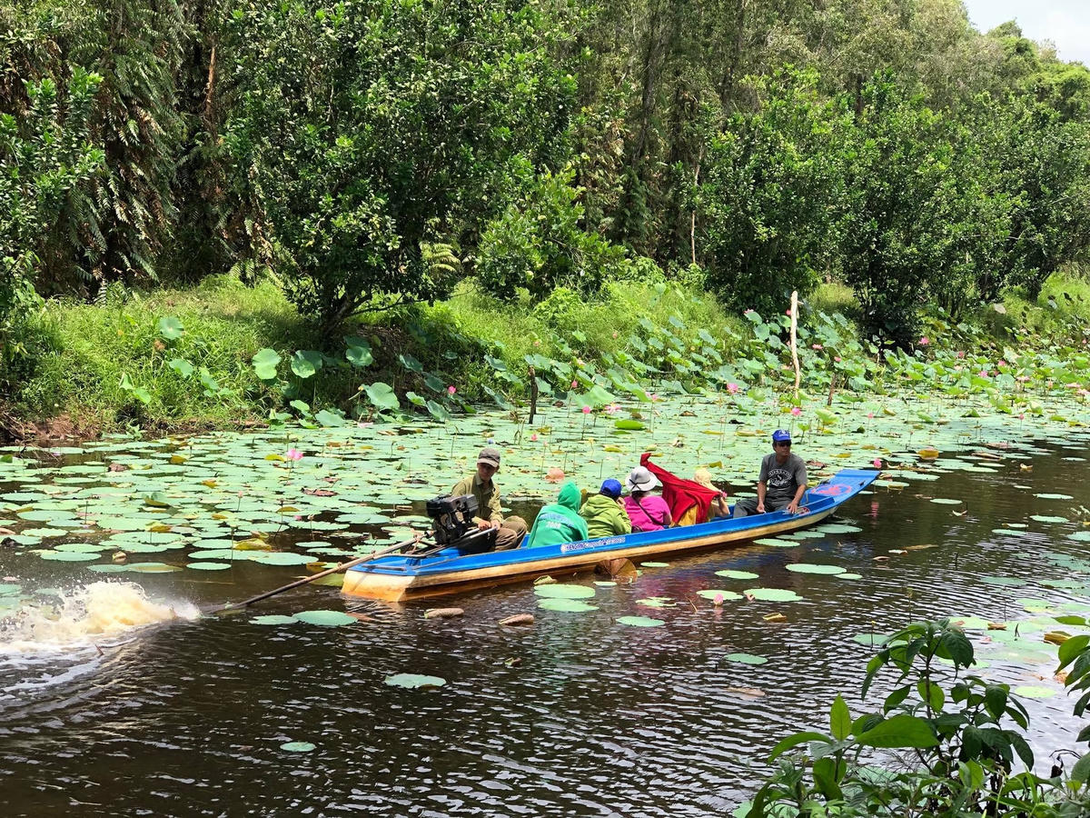 Du khách trải nghiệm khu du lịch sinh thái Sông Trẹm (Cà Mau).