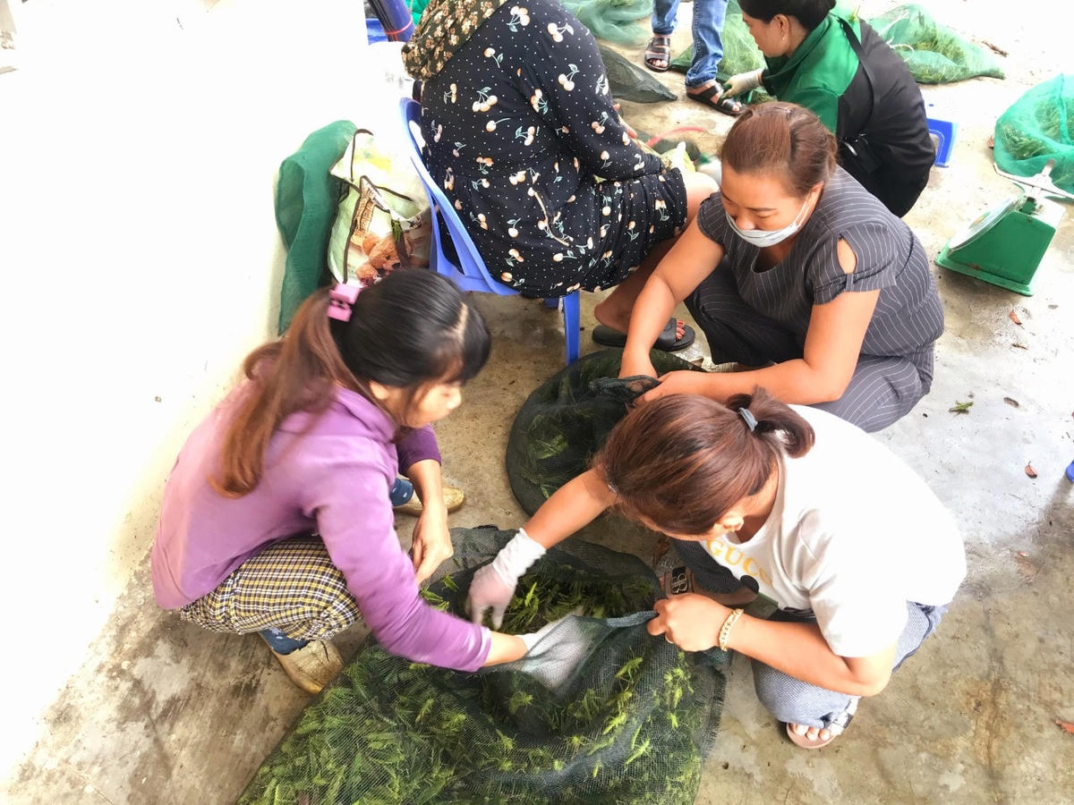 Chỉ chiếm một góc nhỏ, nhưng chợ “tôm bay” tại xóm 11, xã Nghi Kim (TP Vinh) luôn nhộn nhịp người mua.