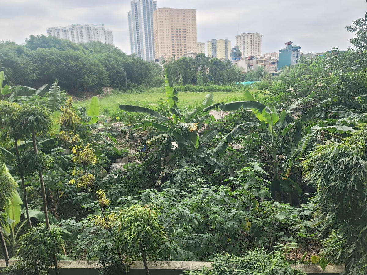 Là chung cư cao cấp tại Hà Nội, nhưng nhiều năm nay Seasons Avenue bị cả 