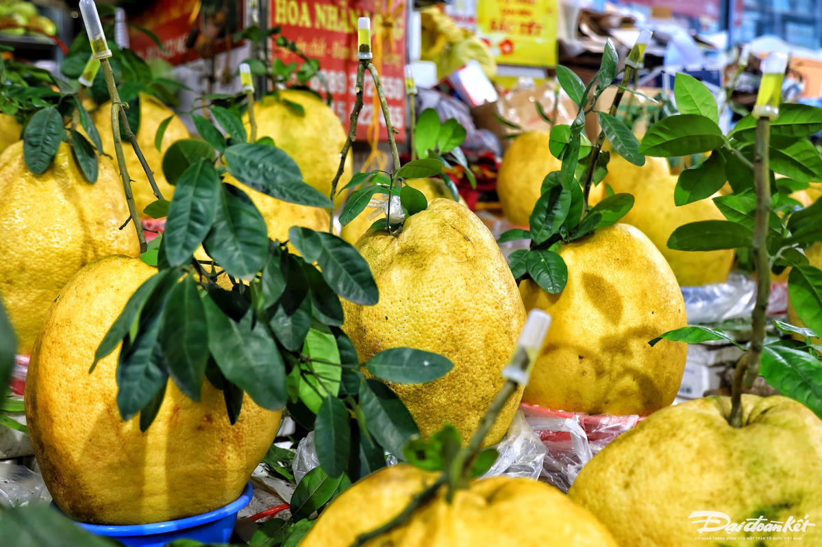 W_bong_ky_da-le-khanh1.jpg