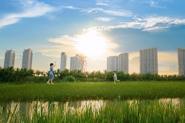 Ông bố kể chuyện tìm thấy nơi ở 'định mệnh' cho cả gia đình sau một lần đi lạc ảnh 1