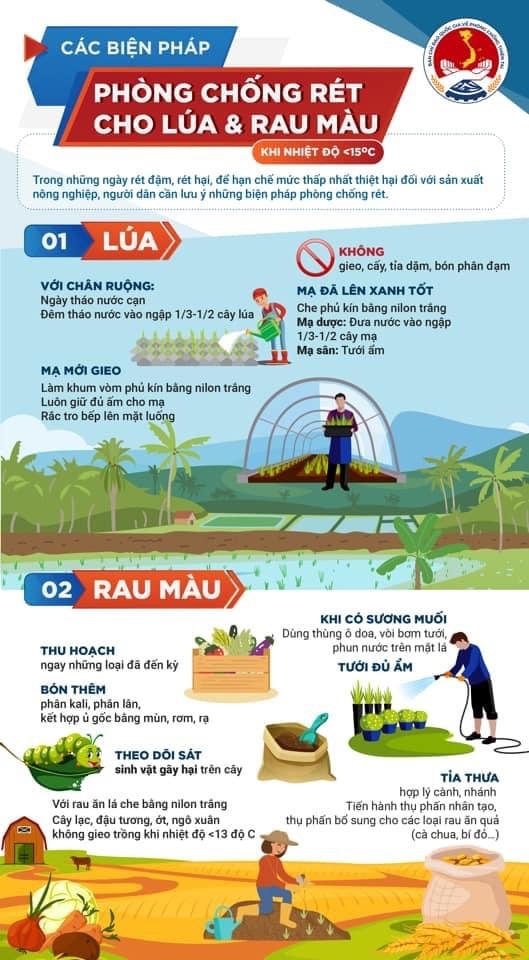 'Infographics': Rét hại và cách phòng tránh