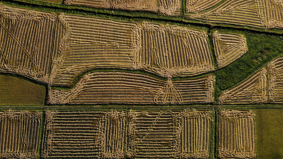 dji_0863.jpg