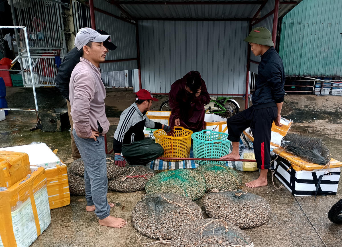 Mặc dù thời tiết không thuận lợi,  nhưng sau mỗi chuyến đi nhóm thuyền của anh Sáng thu nhập khá nên ai nấy đều rất phấn khởi.