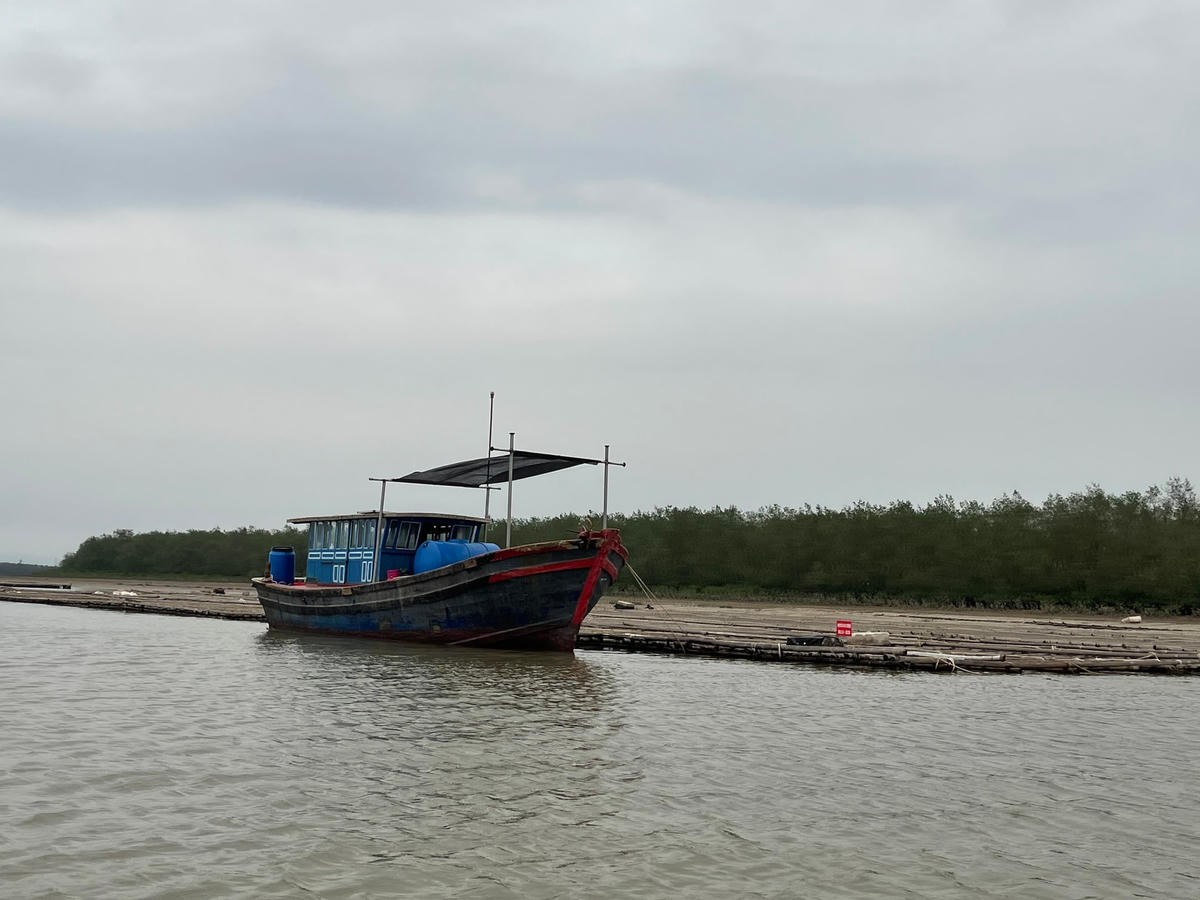 Bè nuôi hàu được người dân kéo từ cửa sông về khu vực được quy hoạch vùng nuôi theo quy định.