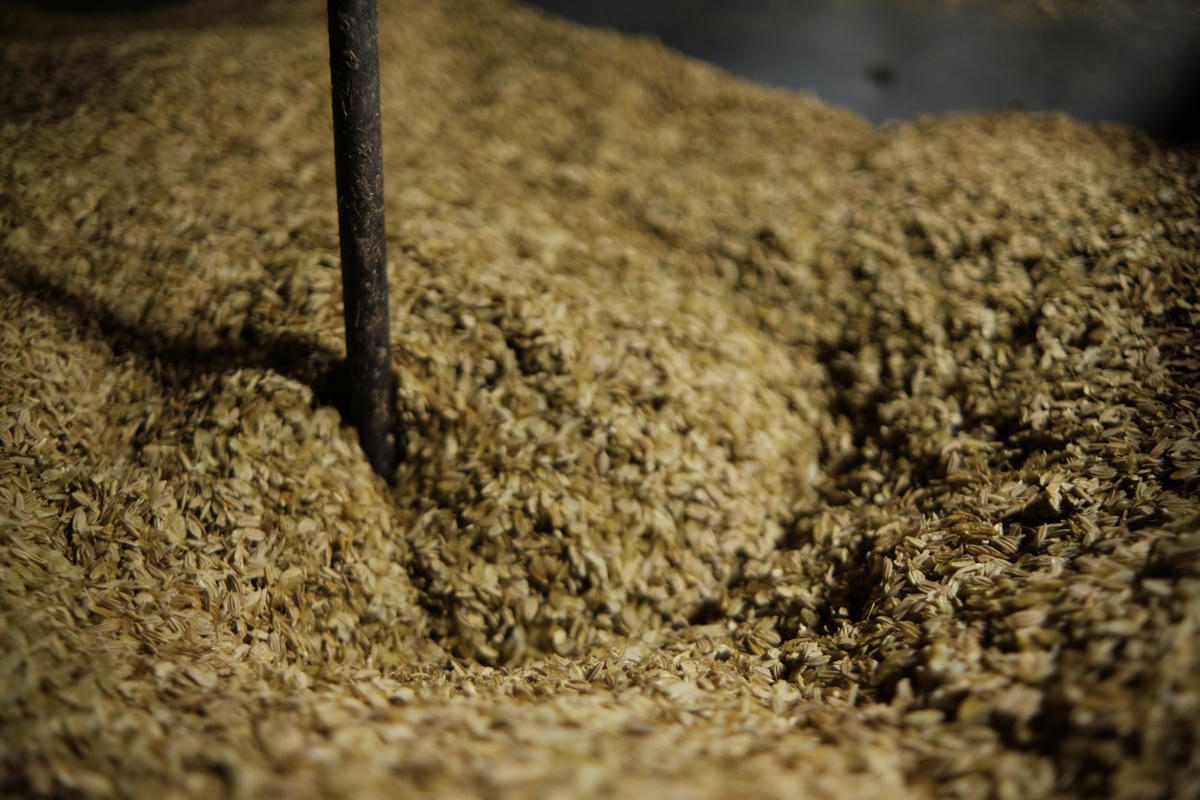 [ẢNH] Cận cảnh người dân làng nghề kỳ công làm cốm mộc ở Hà Nội