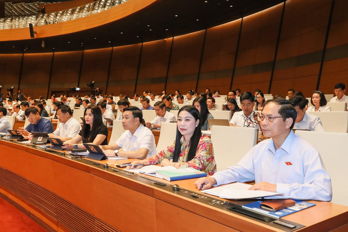 Bộ trưởng Bộ Ngoại giao Bùi Thanh Sơn tham dự phiên họp (Ảnh: Quang Vinh)