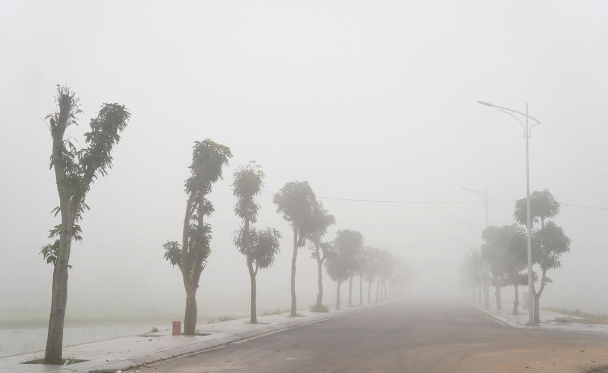 Hai hàng cây xanh chìm trong sương tạo nên một cảnh quan mờ ảo.