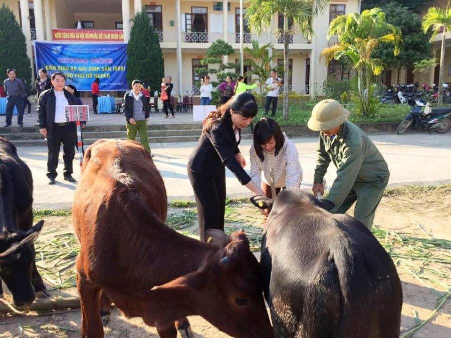 Lãnh đạo Hội Liên hiệp Phụ nữ tỉnh Thái Nguyên trao bò giống cho hội viên nghèo.