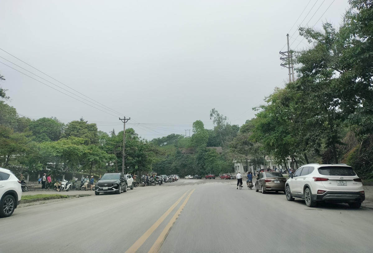 xi-mang-5.jpg