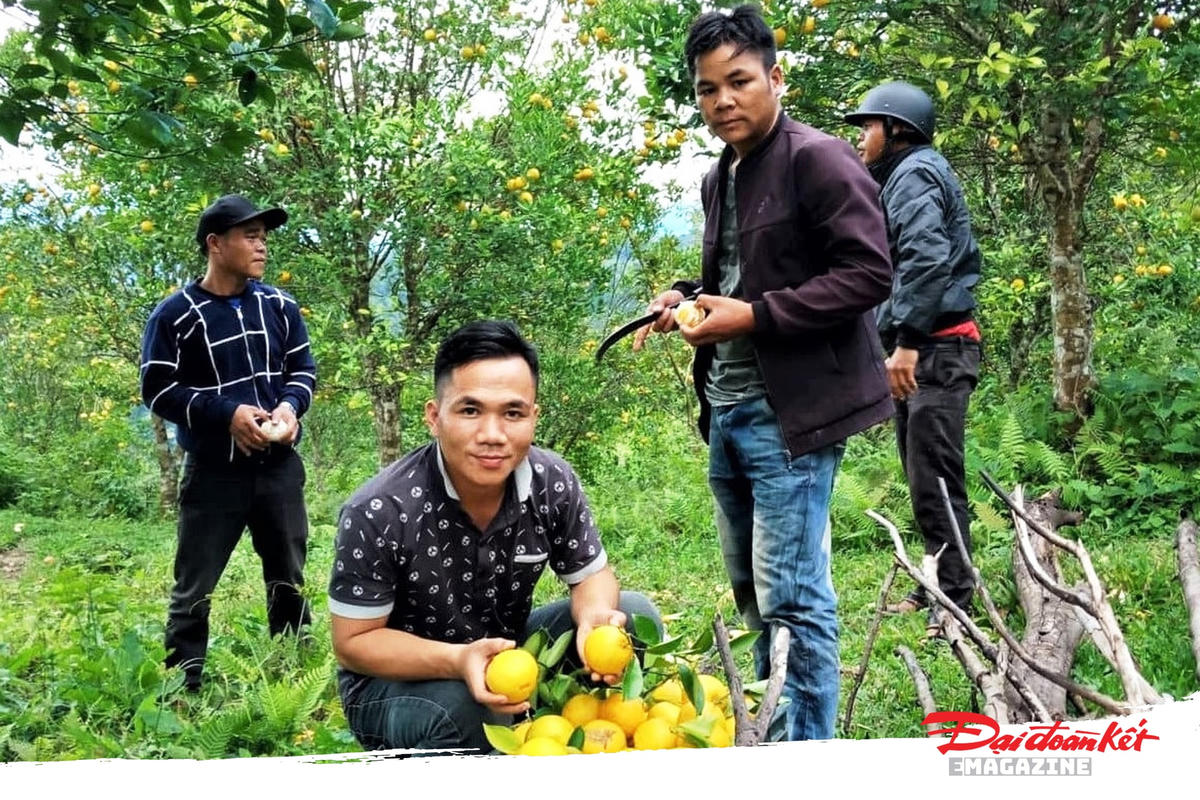 Anh Riah Dung ngồi bên vườn cam ở xã Ga Ry.