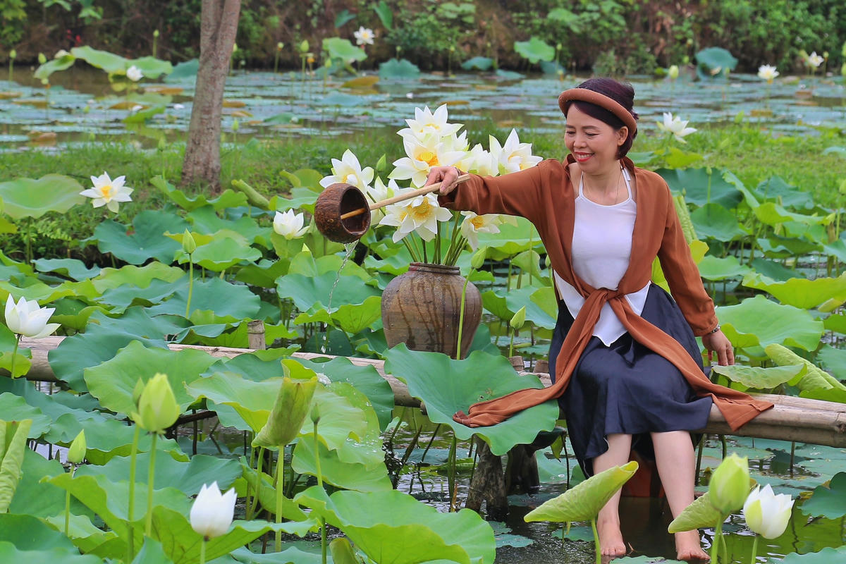 “Trồng loài này mất nhiều thời gian để ra hoa hơn sen hồng và phải chăm sóc kỹ càng hơn thì mới ra được hoa đẹp. Đến tháng 5, hoa đua nhau nở rộ, trắng đẹp, nhiều người bắt đầu tìm đến mua, chụp ảnh”, anh Nguyễn Văn Thọ chia sẻ.