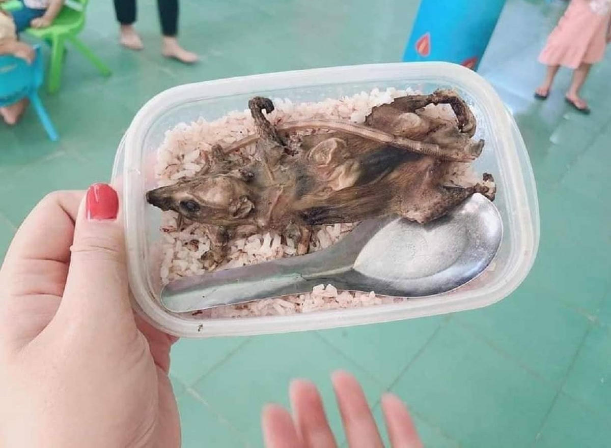 Một hộp cơm món thịt chuột. (Ảnh MXH)