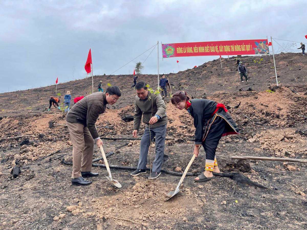 Lãnh đạo Hội Nông dân tỉnh Quảng Ninh cùng bà con Nhân dân huyện Ba Chẽ trồng cây sau Lễ phát động.