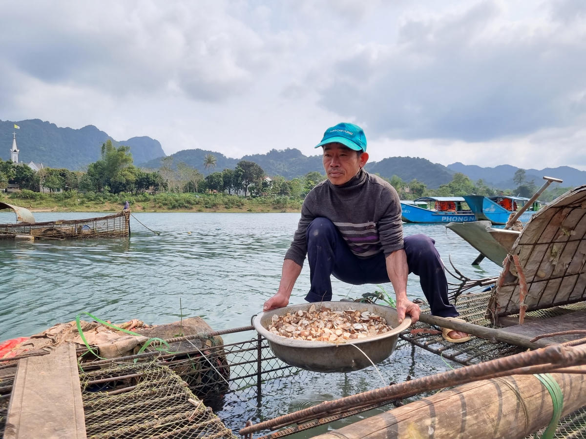 Mỗi ngày ông Hảo cho cá trắm ăn 2 lần, mỗi lần ăn là các phụ phẩm nông nghiệp khác nhau.