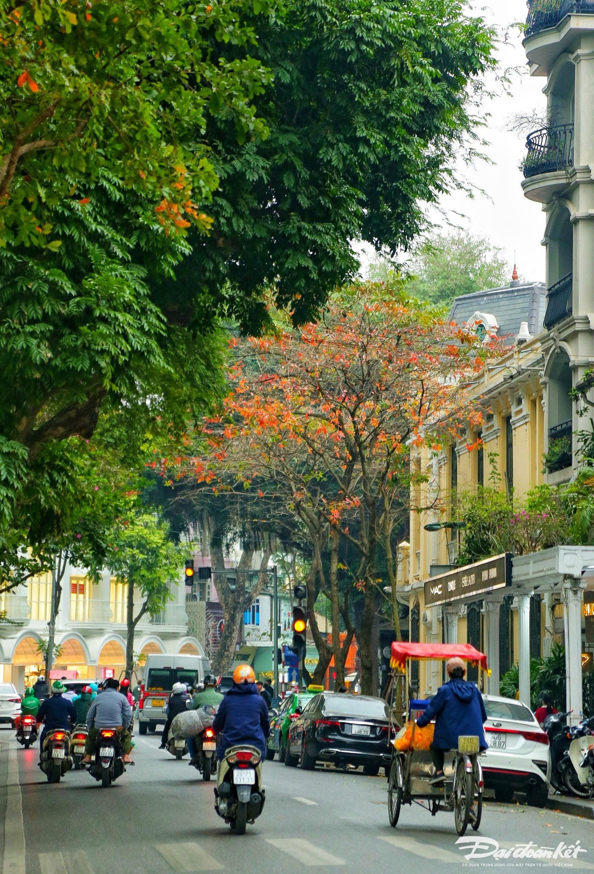 W_ha_noi_mua_la_do-le-khanh10.jpg