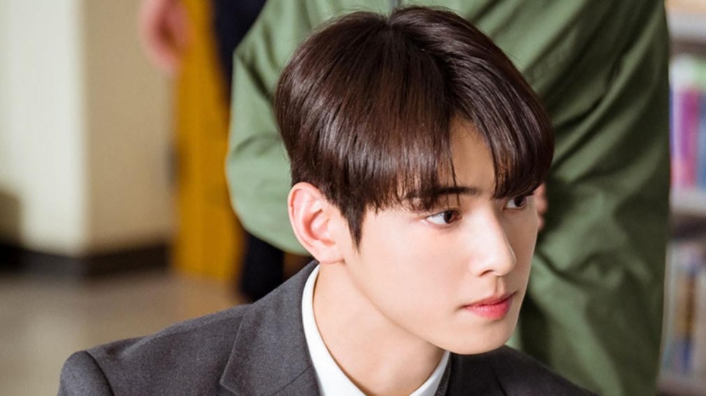 Cha Eun Woo là nam chính, góp phần tạo nên nhiều tình huống "dở khóc, dở cười". 