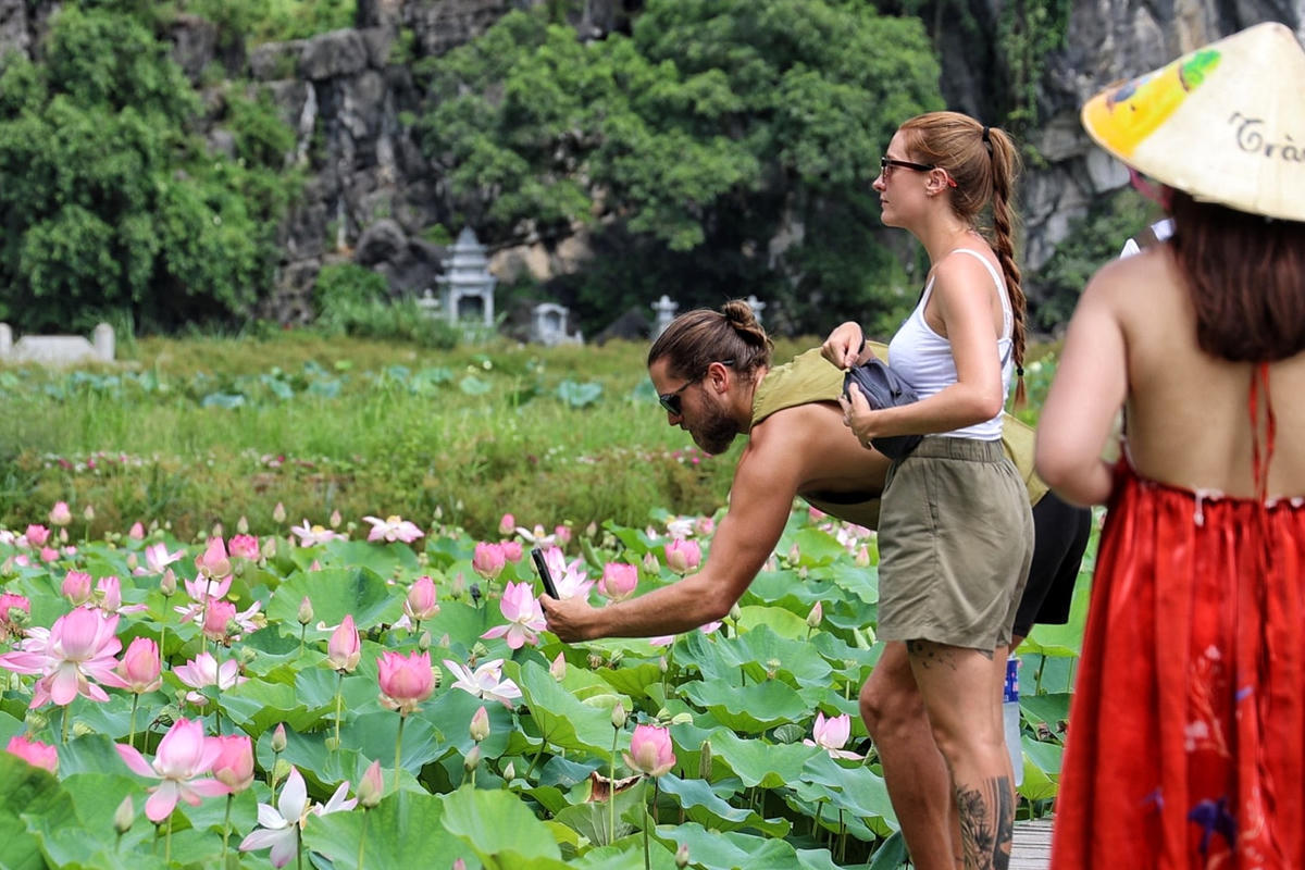 Du khách chụp ảnh hoa sen.