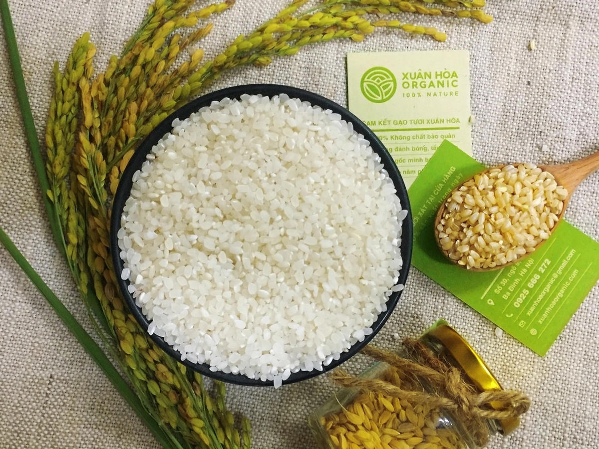 Thương hiệu gạo Việt đã và đang tiếp tục chinh phục thị trường thế giới.
