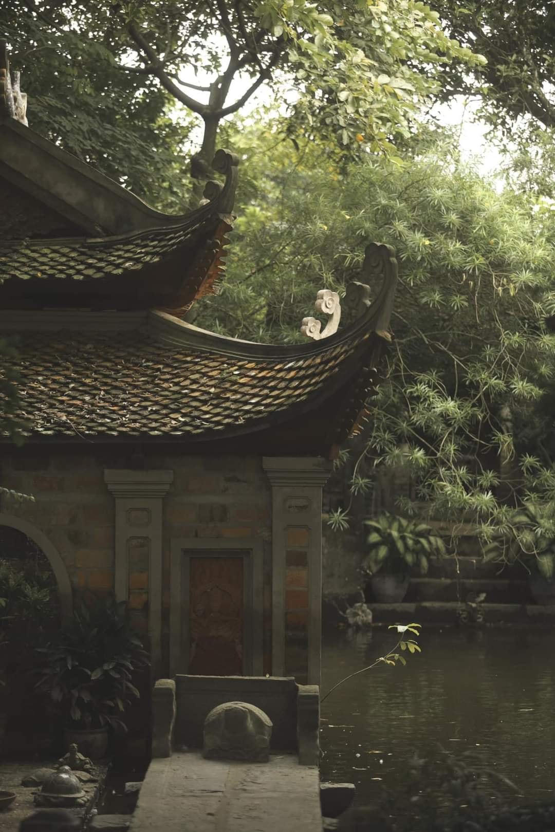 Việt Phủ Thành Chương được ôm trọn bởi nhiều tán cây xanh lớn nhỏ đan quyện vào nhau, tạo nên không khí quanh năm mát mẻ, thoáng đãng.
