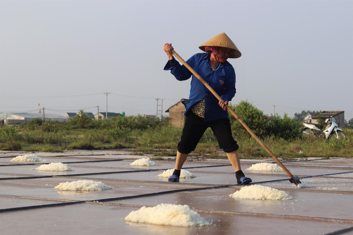 Những bước đi thoăn thoắt, những cú đẩy dứt khoát khiến muối được lu lại thành đống. Cái nghề này, đến cả những cụ cao niên ở đây cũng chẳng nhớ là có tự bao giờ, họ chỉ biết rằng, có được muối là “kết tinh của mồ hôi”.