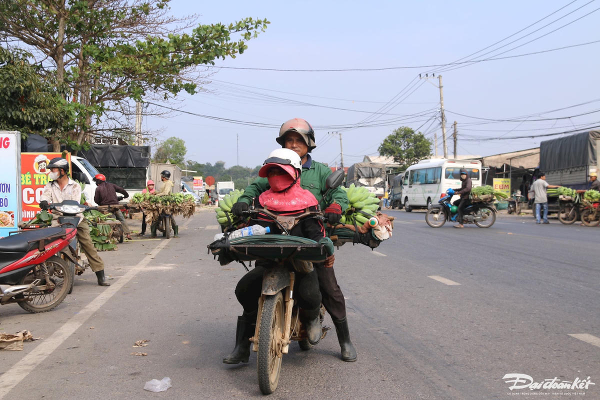 W_anh-6.8.jpg
