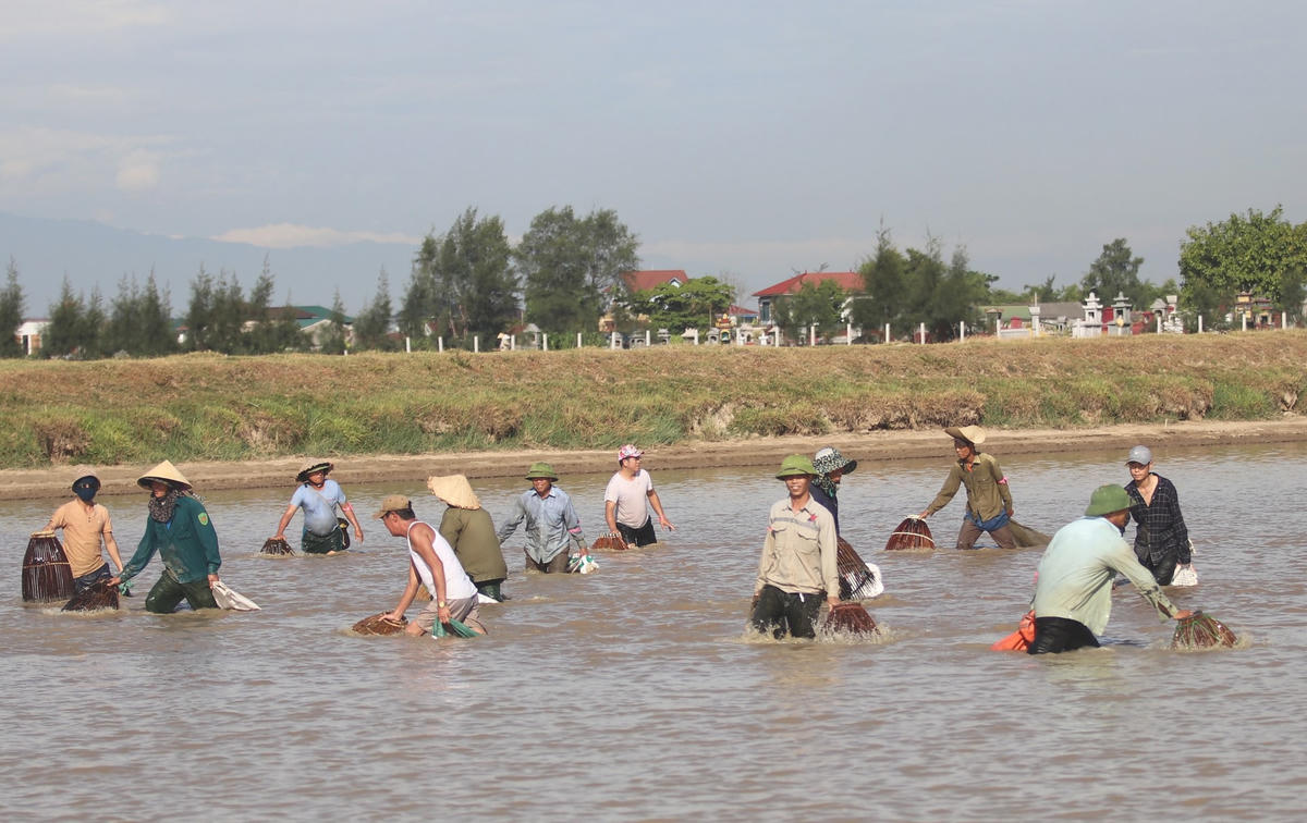 Mực nước trong hồ đang dần khô cạn do nắng nóng kéo dài khiến người dân đi "săn cá" cảm thấy thú vị hơn.