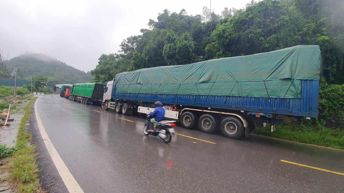 Nhiều xe tải, xe khách xếp hàng dài nối đuôi nhau.