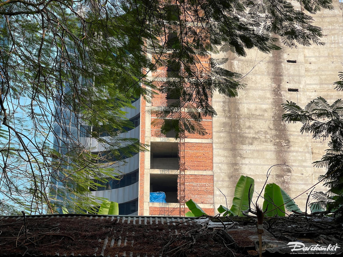 W_bv10.jpg