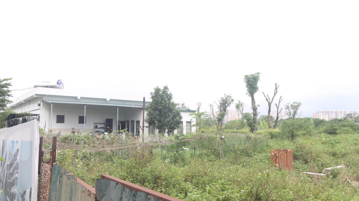 Khung cảnh bỏ hoang bên trong dự án bệnh viện .