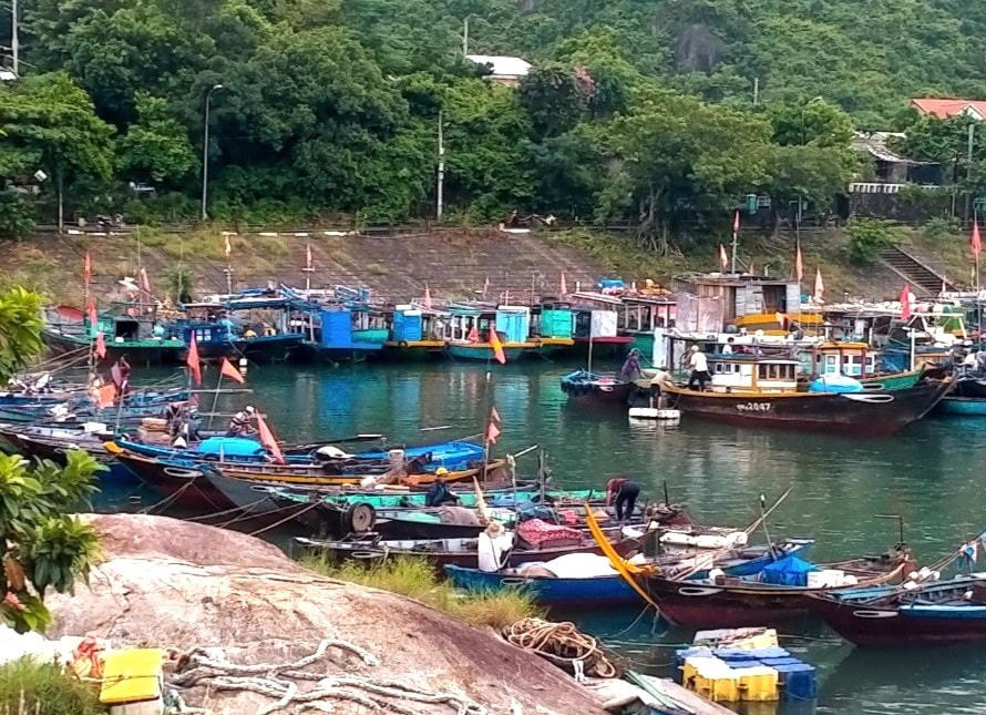 Tàu thuyền đảo Tân Hiệp vào bờ tránh bão Noru.