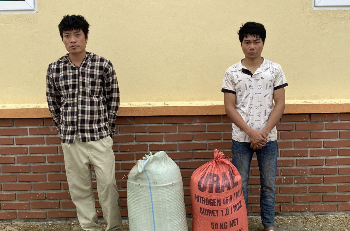 Hai bao lúa mà Minh và Bằng đã trộm của người dân.