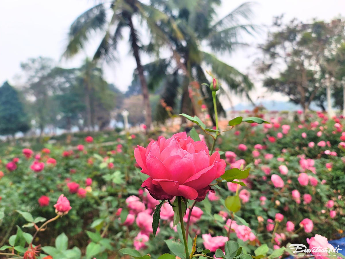 W_a35403070d02a65cff13.jpg