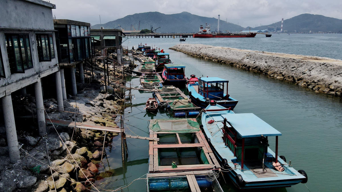 Mùa mực nhảy Vũng Áng thường bắt đầu từ giữa tháng 3 đến hết tháng 7 âm lịch hàng năm. Những con mực tươi sống được người dân lành nghề đi câu trong đêm, thả nuôi vào khoang thuyền có trữ sẵn nước biển rồi đem về bán cho các chủ nhà hàng nổi kinh doanh hải sản ở bên bờ biển thuộc địa bàn thôn Hải Phong (xã Kỳ Lợi).