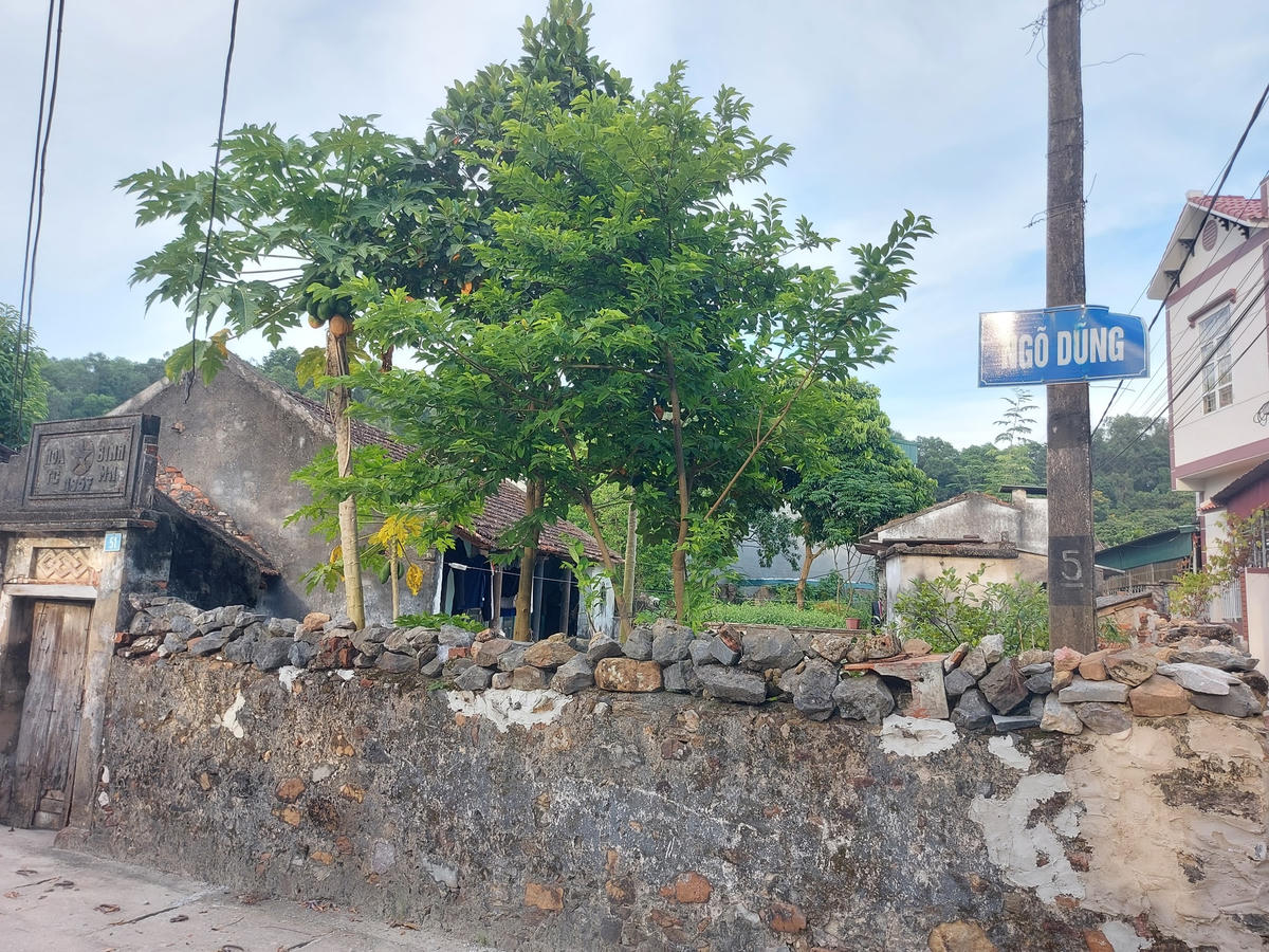 Làng cổ Đông Sơn có cấu trúc theo kiểu làng thuần nông, mang sắc thái làng quê Bắc Bộ, làng có trục đường chính nằm ở giữa và nhiều nhánh nhỏ rẽ vào các hướng, gọi là ngõ xóm.