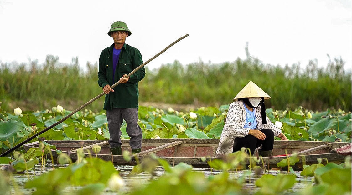 Cách đây chừng 5 năm, ông Xuân đã nói với vợ không buôn bán chim trời nữa mà đi bảo vệ để bù đắp những việc làm đã gây ra cho đàn chim. Nghe vậy, bà Hoa không nghĩ nhiều, gật đầu đồng ý. Kể từ đó, hai vợ chồng ông Nguyễn Công Xuân và bà Đỗ Thị Hoa ngày ngày bảo vệ đàn chìm trời trên diện tích đất lúa của gia đình giữa đầm phá Hạc Hải.