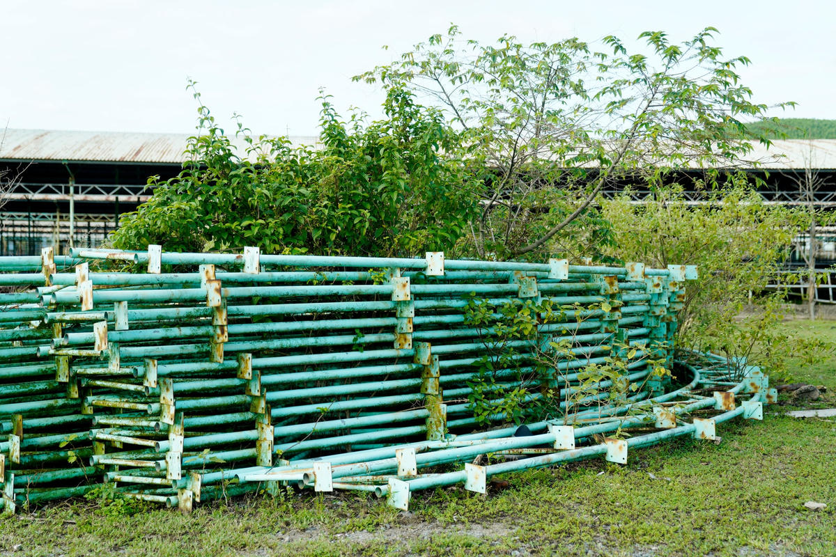 Một số vật liệu dùng để dựng hệ thống chuồng nằm đắp chiếu, hoen rỉ, cỏ mọc um tùm.