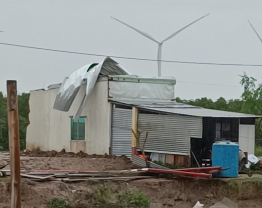 Do ảnh hưởng của hoàn lưu cơn bão số 1 đã gây mưa lớn kèm theo lốc xoáy đã làm sập hoàn toàn 11 căn nhà ở xã Vĩnh Hậu, huyện Hòa Bình, tỉnh Bạc Liêu bị sập, tốc mái.