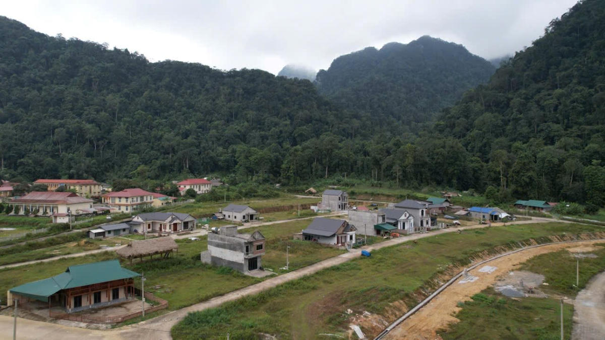 Anh bai tren