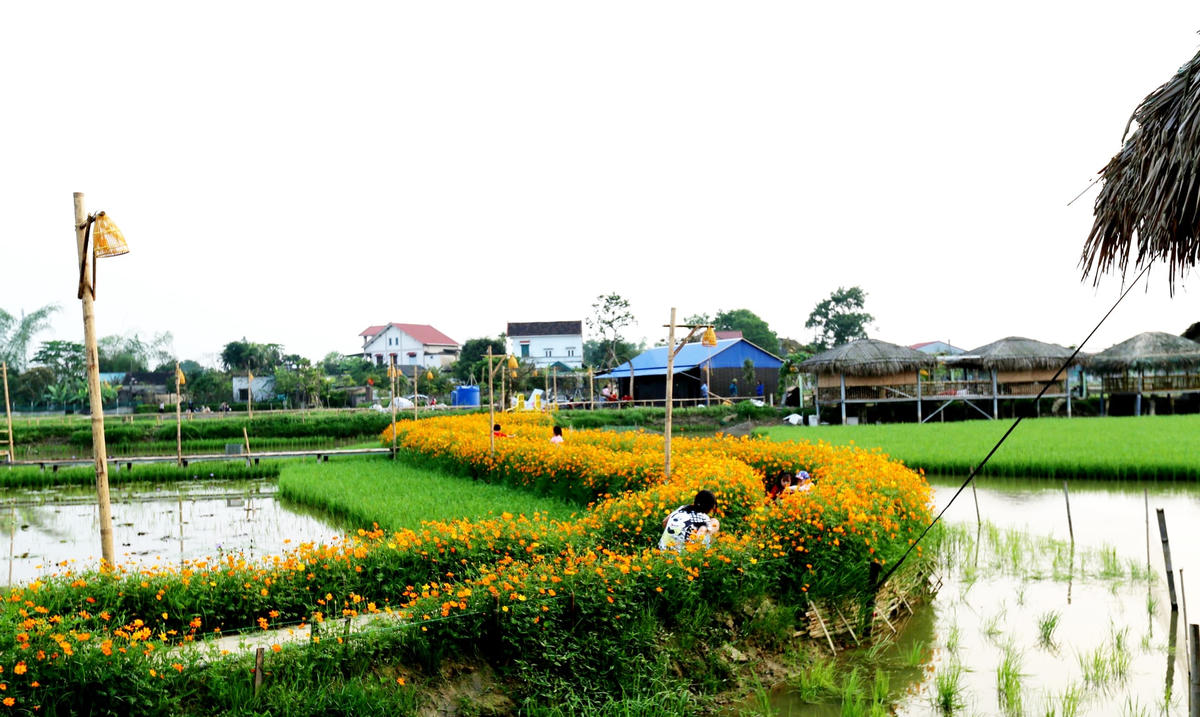 Thay vì trồng lúa đơn thuần, anh Nguyễn Hữu Quyền (TP Hà Tĩnh) đã xây dựng mô hình nuôi cá, tôm và kết hợp các dịch vụ trải nghiệm, du lịch sinh thái nông nghiệp giữa lòng thành phố.