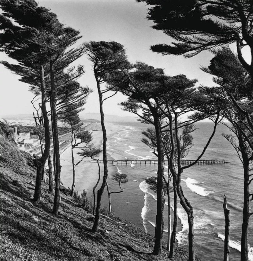 Sương mù được coi là một điểm nhấn ở San Francisco. Ảnh: The Guardian.